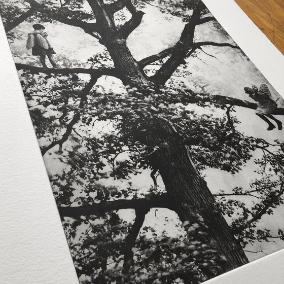 Exterior No.20: Whizzing through The Woods