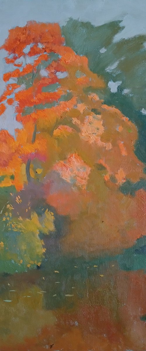 Autumn Blaze by Vasyl Koval