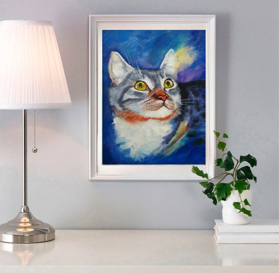 A cat catching sunbeams