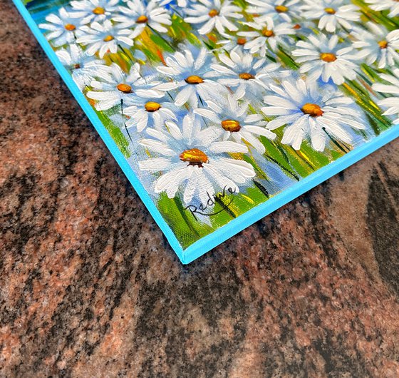 Summer landscape with daisies meadow