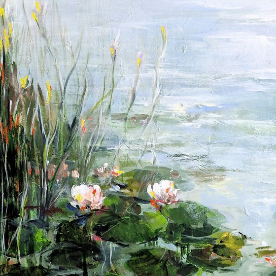 Water Lilies On The Shore