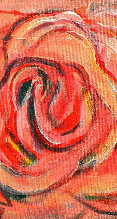 Pink Rose IV 14x11 by BenWill