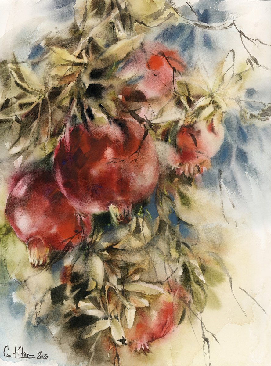 Impressionistic Botanical Watercolour By Sophie Rodionov, 12 X 16", Pomegranates, Original Artwork