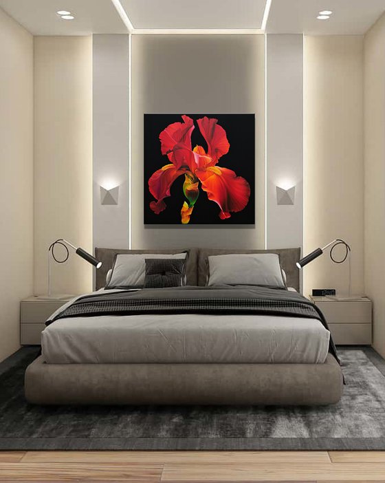 Portrait of Iris. Scarlet