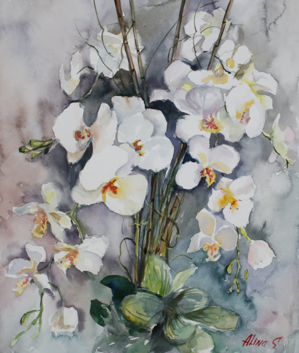White orchids by Alina Shmygol