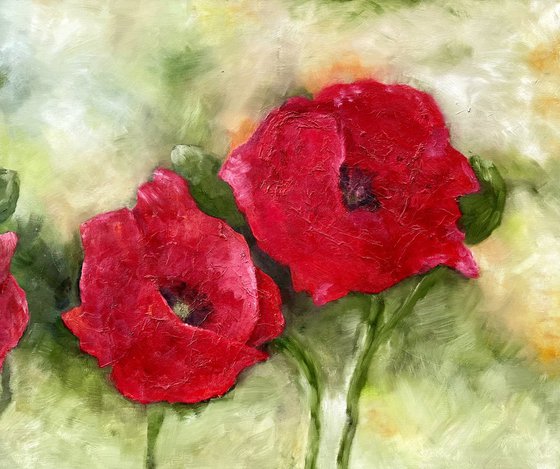 Poppies