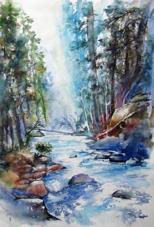 Forest stream No. 1 by Székelyhidi Zsolt