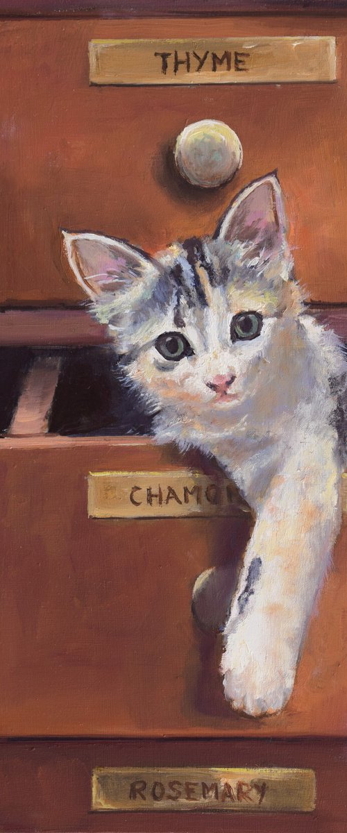 Naughty little cat in a drawer by Lucia Verdejo