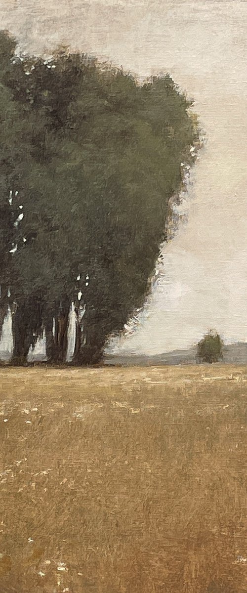 Country Afternoon 230214, Tonal landscape and trees impressionist oil painting by Don Bishop