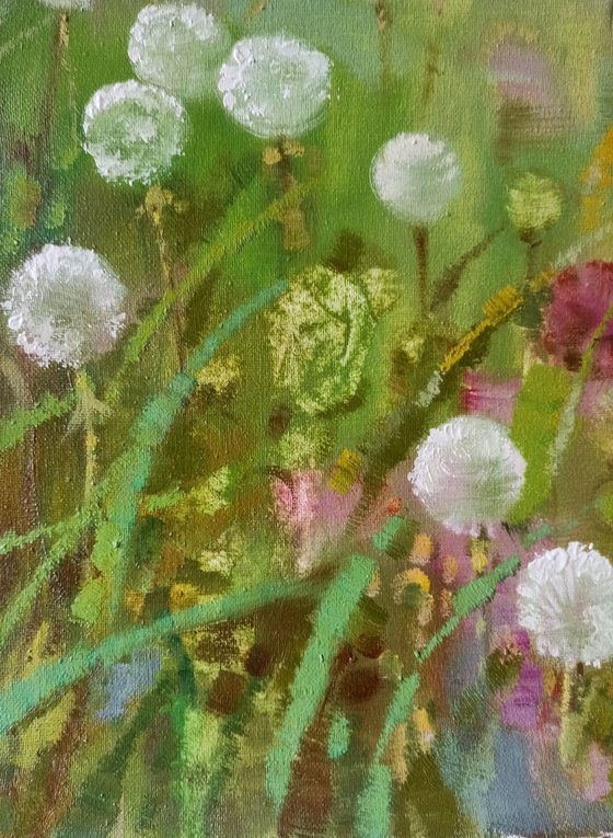 Dandelions