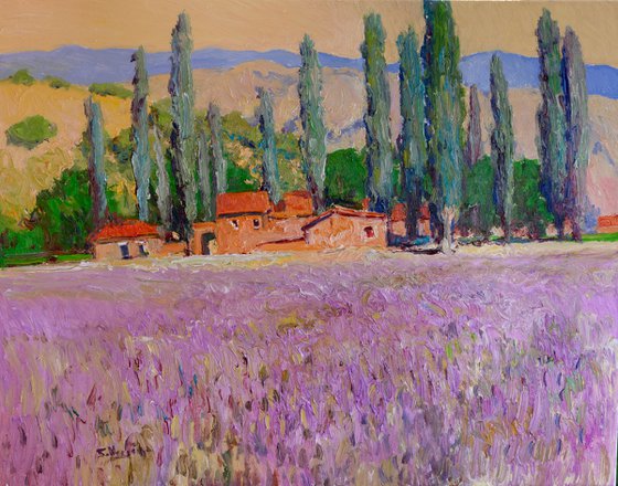 Lavender and Poplar Trees