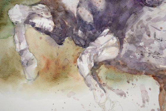 Horse in the run  5 (70x50)
