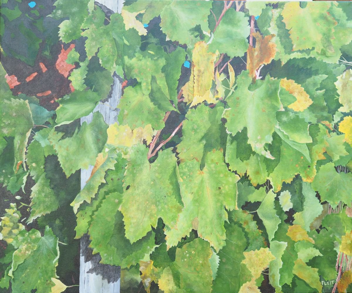 Magione Vineyard 3 By Steven Fleit, 24 X 20, Artwork For Sale On Artfinder