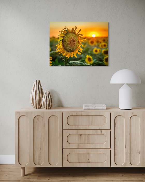 Golden Silence III – Last Light