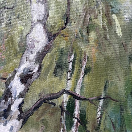 Birch Forest 1