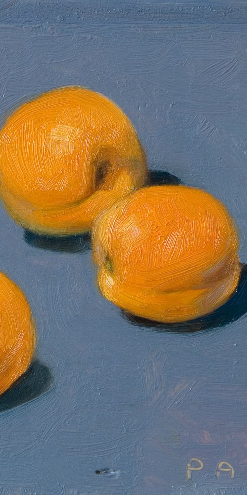 modern still life of apricots on blue for fruit lovers by Olivier Payeur