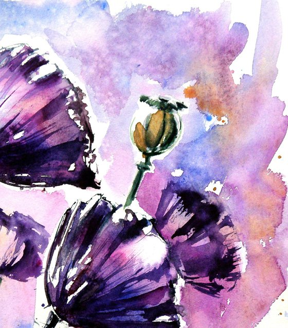 Purple poppies