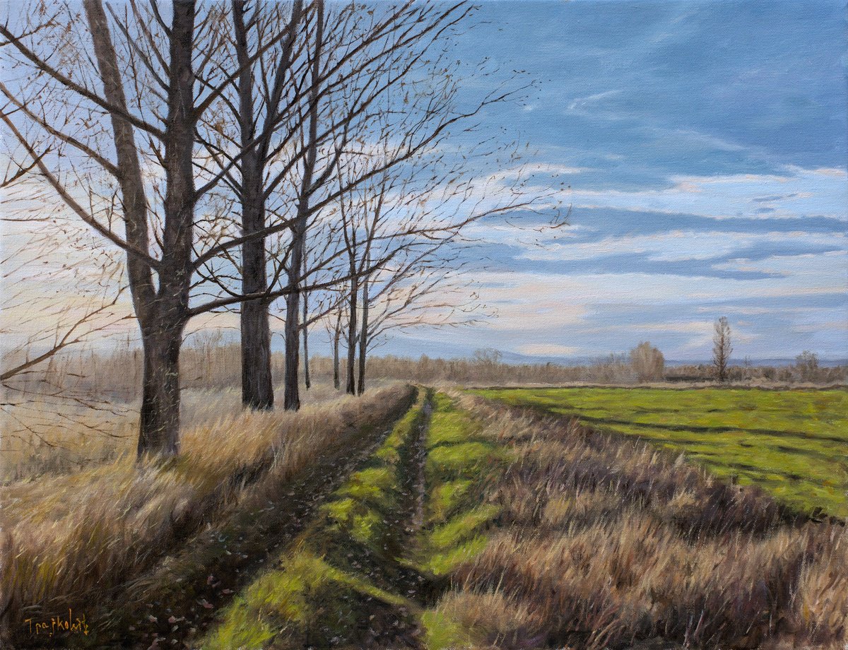 Impressionistic Landscape Oil Painting By Dejan Trajkovic, 26 X 20, Mastina, Original Artwork