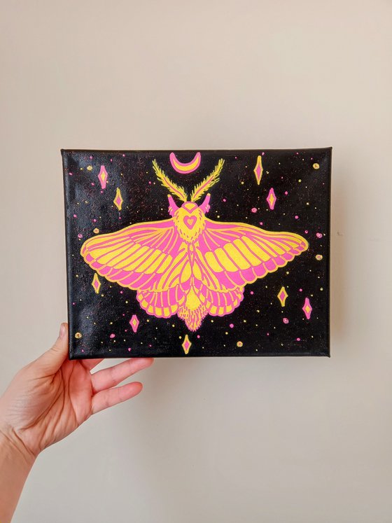 Rosy Maple Moth