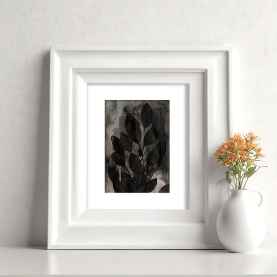Organic Wonders 23