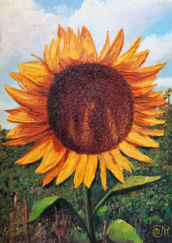 Landscape with sunflower