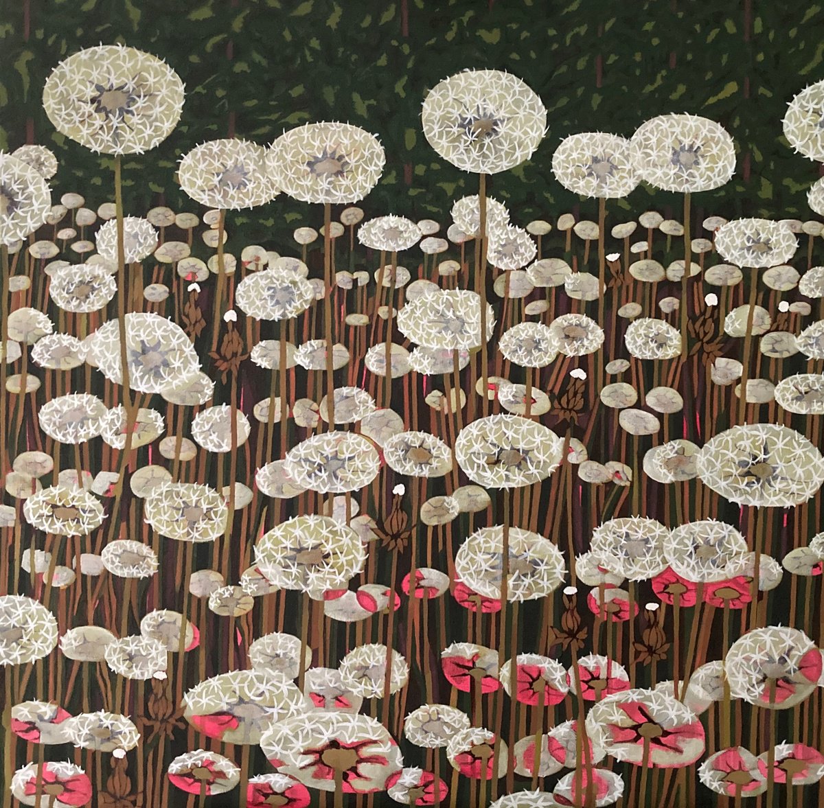 White Dandelion Field by Tarja Laine