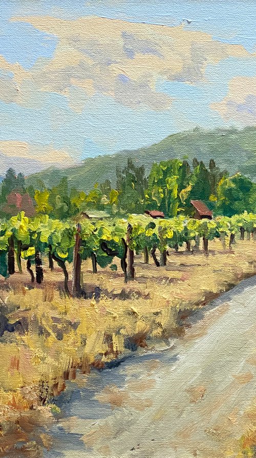 A Walk Through Folktale Vineyards by Tatyana Fogarty