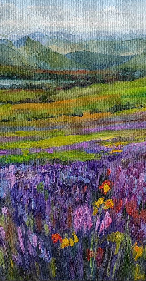 Lavender fields by Leyla Demir