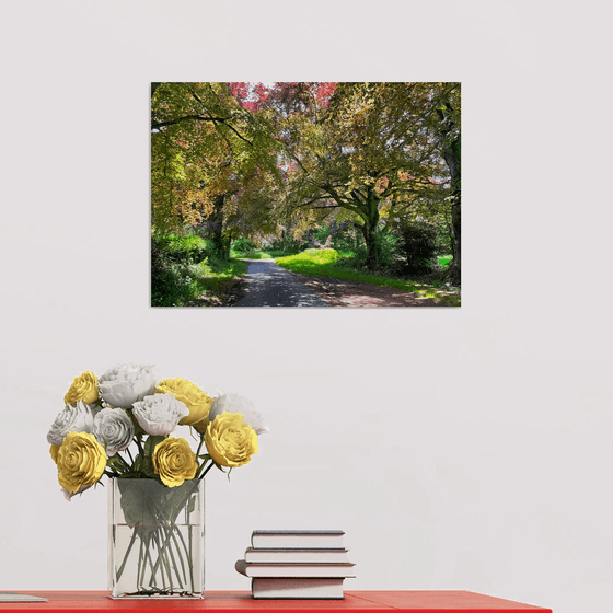 Romantic Country Lane in Springtime