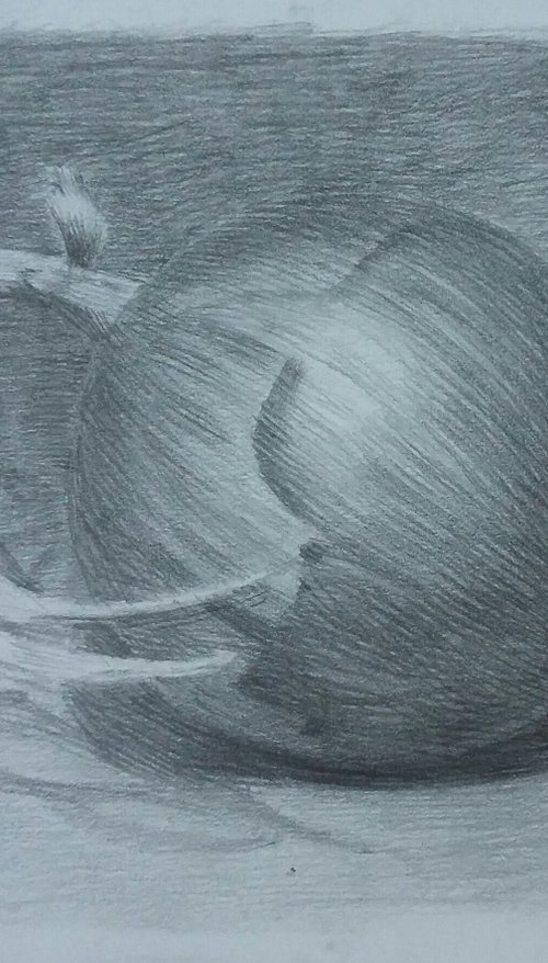 Still life # 2 Onion. Original pencil drawing. by Yury Klyan
