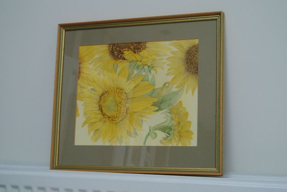 Sunflowers  Original Framed Watercolour