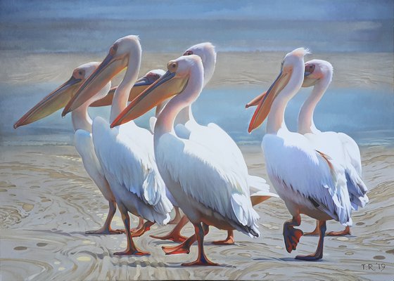 Fishing Time / Pelicans