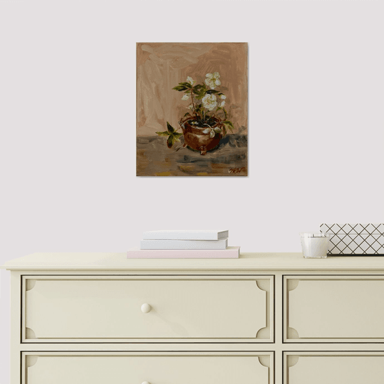 HELLEBORE