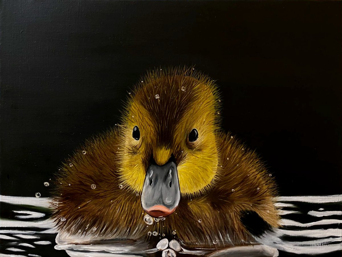 Duckling by Elena Adele Dmitrenko