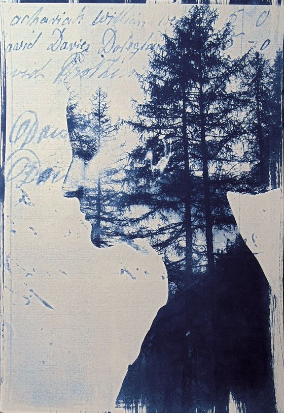 Cyanotype_04_A4_The forest