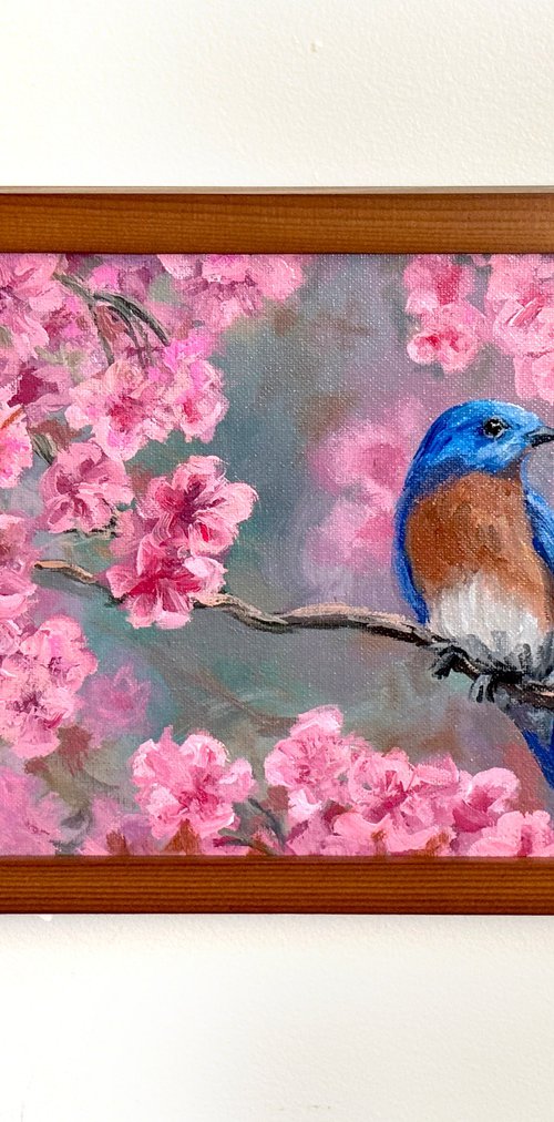 Bluebird and Blossoms by Steph Moraca