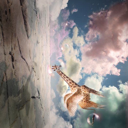 Giraffe Clouds by Vanessa Stefanova
