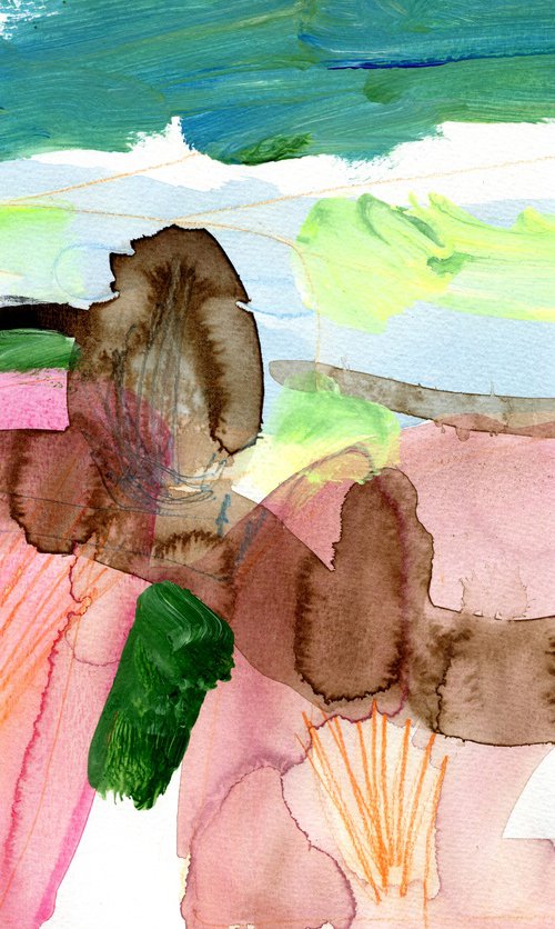 Pink Desert by Elizabeth Anne Fox