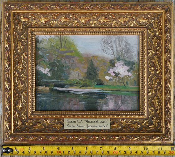 Japanese garden. Sakura blossom