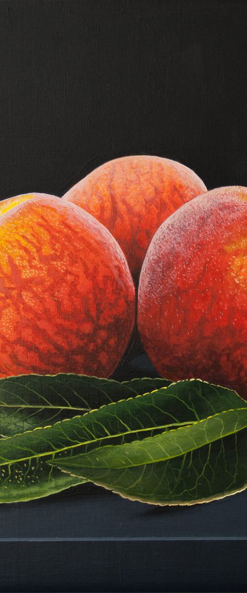 Peaches and Leaves by Dietrich Moravec