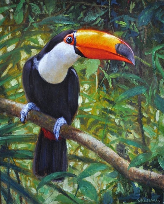 Toucan