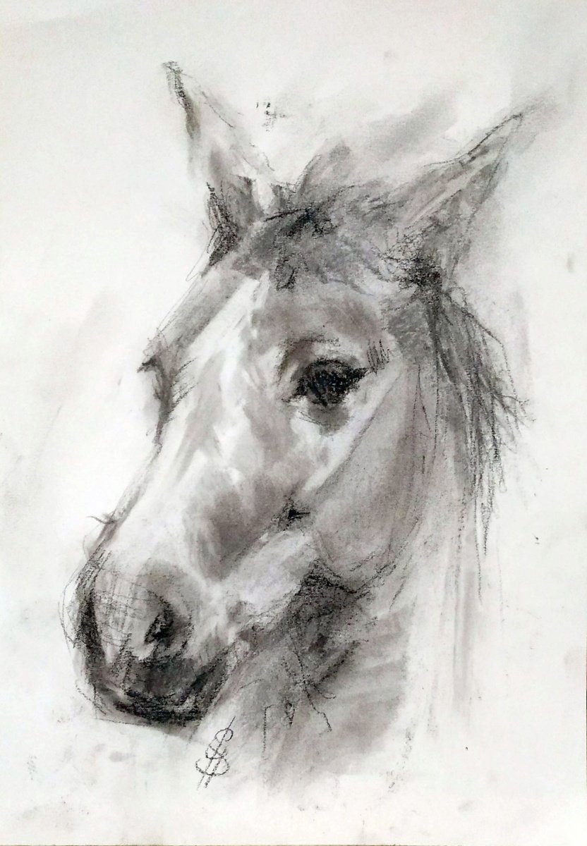 Impressionistic Animal Charcoal Drawing By Sbboursot, 8 X 12", Horse Iii, Original Artwork