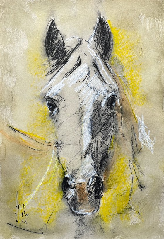 Equestrian Grace