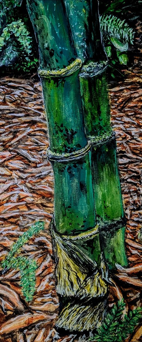 New Bamboo Shoot 1 by Robbie Potter
