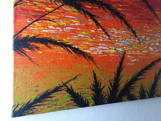 Red Sunset In The Grass