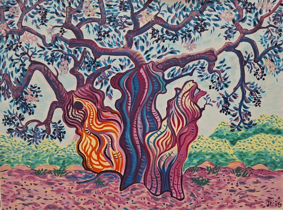 Between Worlds, an Olive Tree