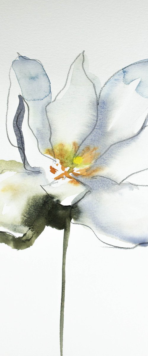 Bloodroot No. 4 by Elizabeth Becker