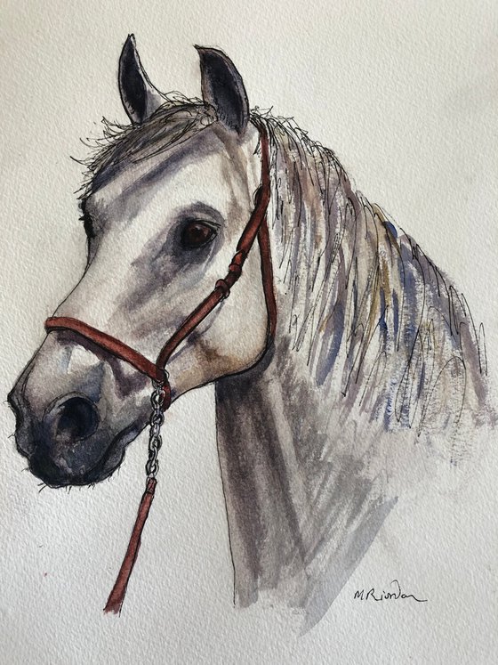 Horse Head