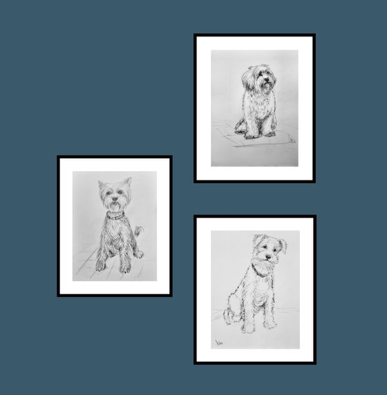 Set of three cute dogs