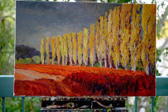 Red Vineyards and Poplars, Cloudy Autumn Day